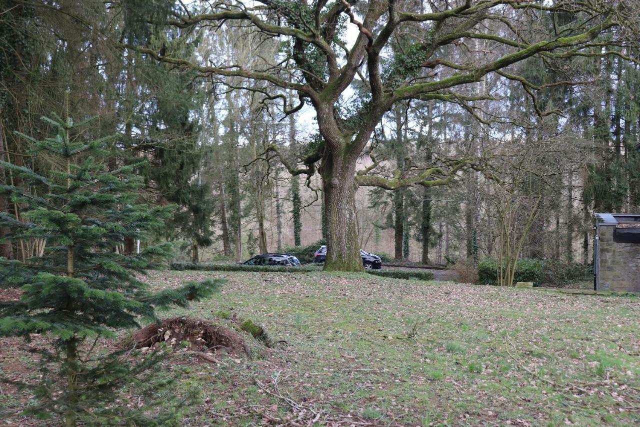 Le Portail Des Ardennes Villa Nassogne Exterior photo